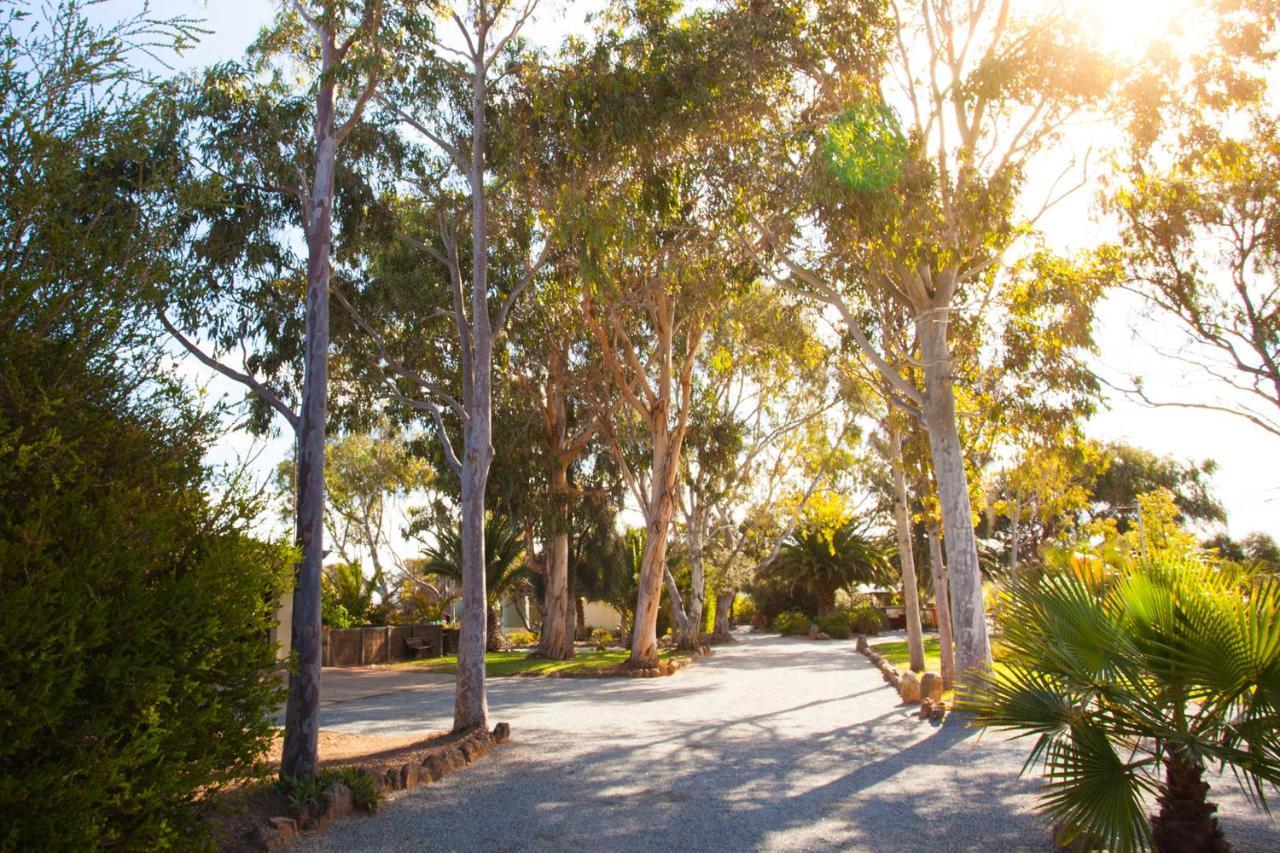Modra'S Apartments Tumby Bay Exterior foto